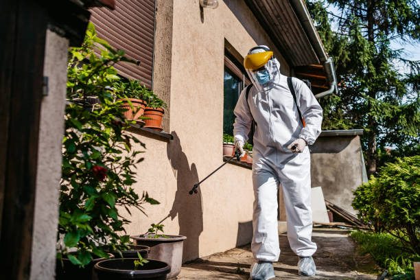 Best Wildlife Control Services  in Temple, PA