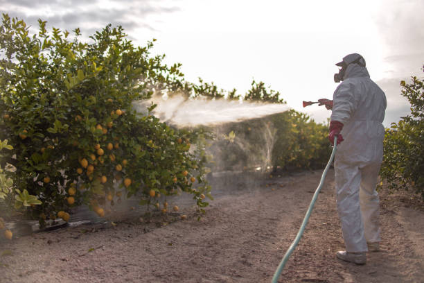 Best Mosquito Control Services  in Temple, PA