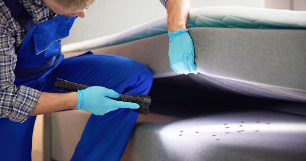 Trusted Temple, PA Pest Control Experts