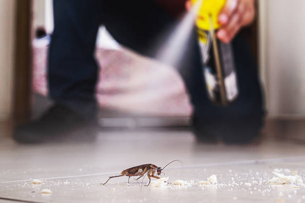 Best Emergency Pest Control  in Temple, PA